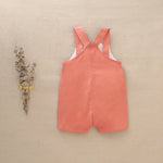 Short Baby Boy's Bib with Front Pocket: 18 Months / Coral - CapuletKids