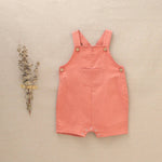 Short Baby Boy's Bib with Front Pocket: 18 Months / Coral - CapuletKids