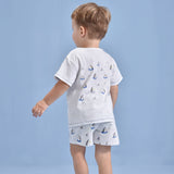 Shark Shorts | AIMAMA