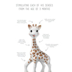 Sophie la Girafe Toy - CapuletKids