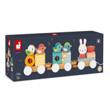 Pure | Train | Pull along | 17 pieces