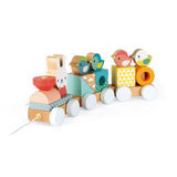 Pure | Train | Pull along | 17 pieces
