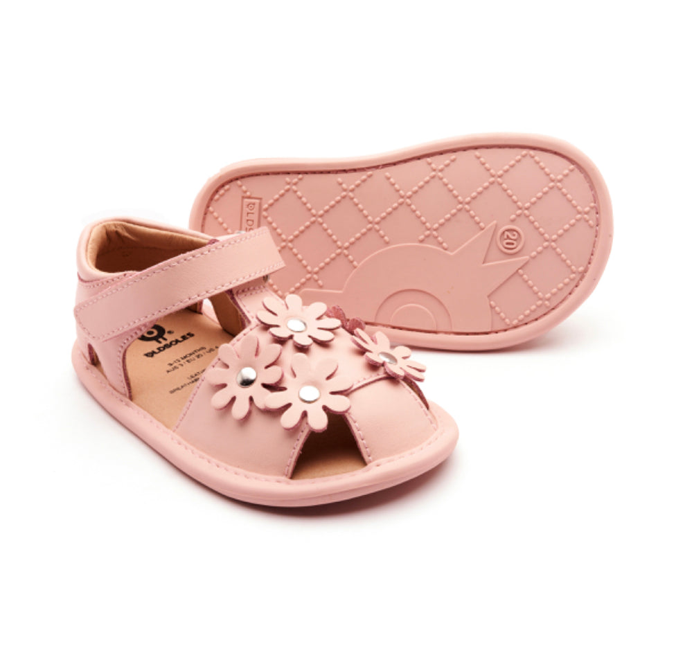 Old Soles Wild Flower Shoes - CapuletKids