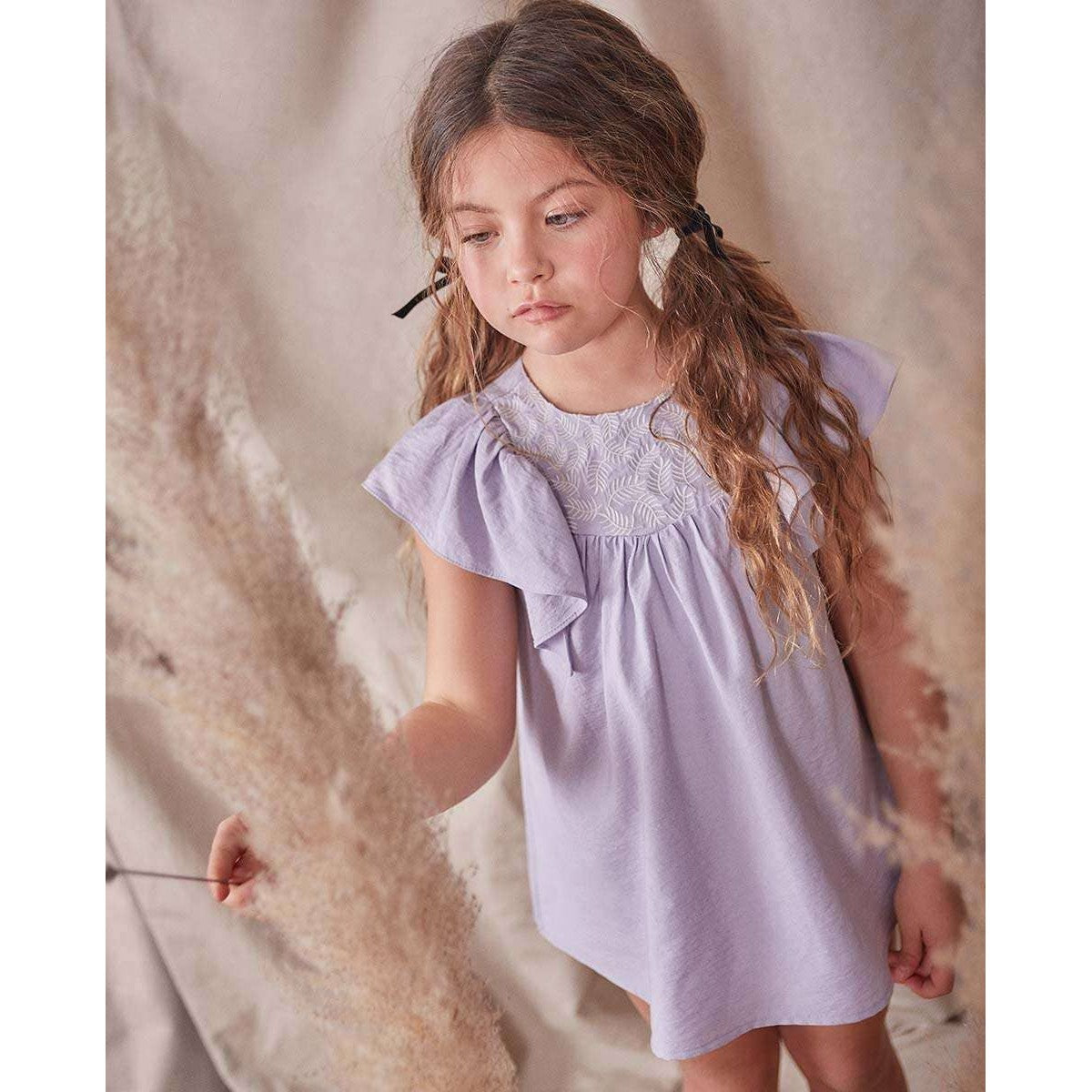 Dadati Ruffle Sleeves And Embroidered Yoke Dress