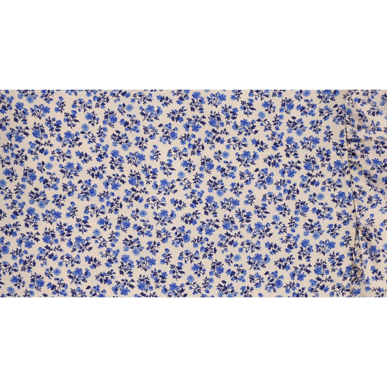 Repose AMS Ruffle Blouse Floral Print