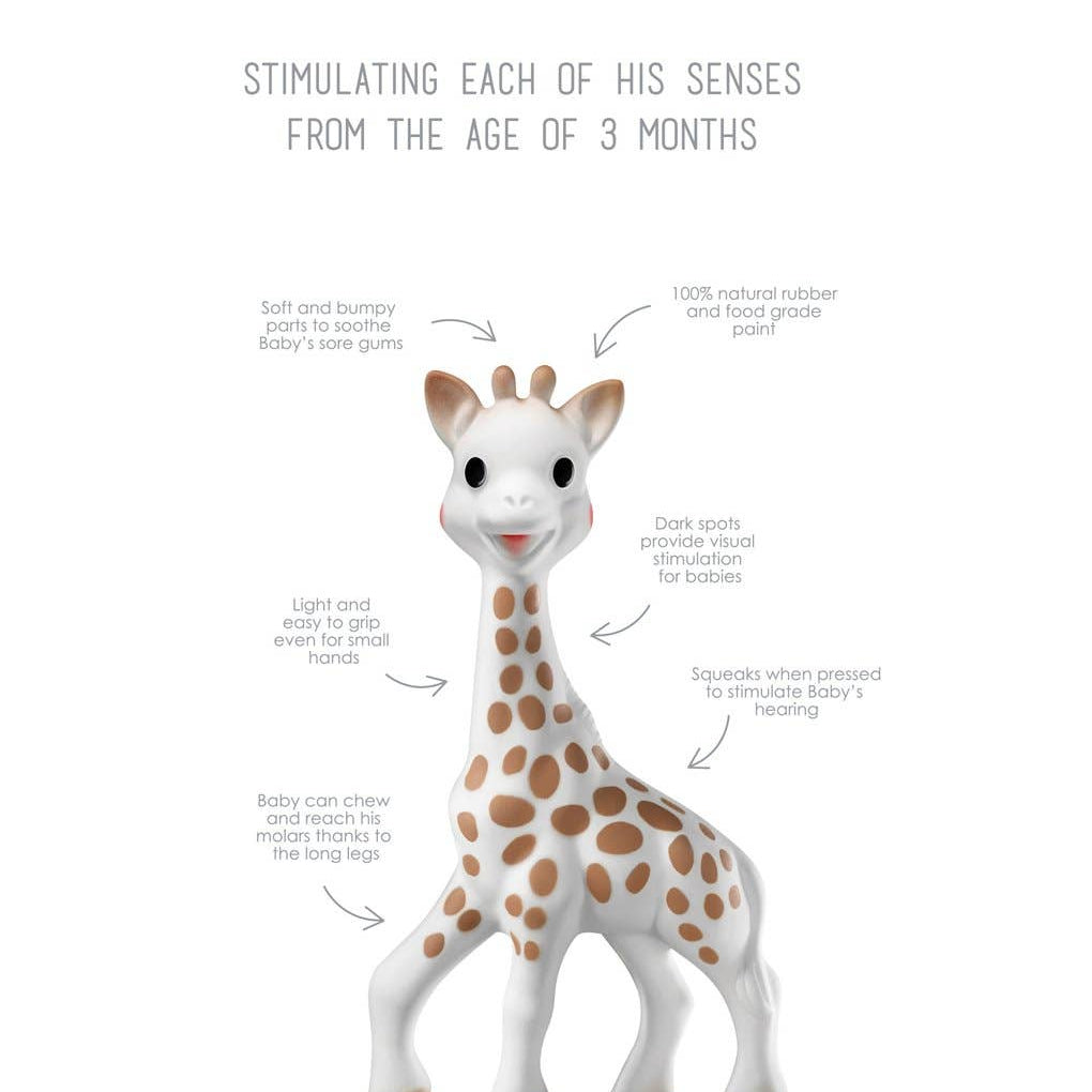 Sophie la Girafe Toy - CapuletKids