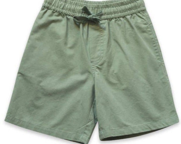 Beet World Cotton Pull-On Straight Shorts in Sage Green