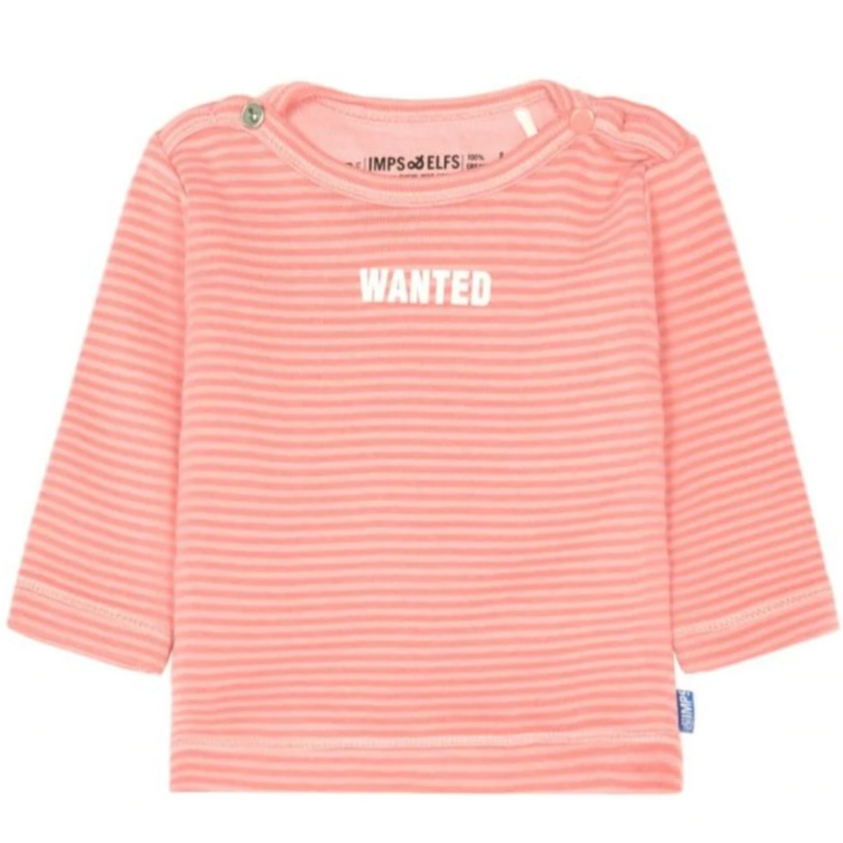 Imps & Elfs Cotton Long Sleeve Stripe T-Shirt "Wanted" for Mini Girls and Mini Boys From Newborn to 1Y